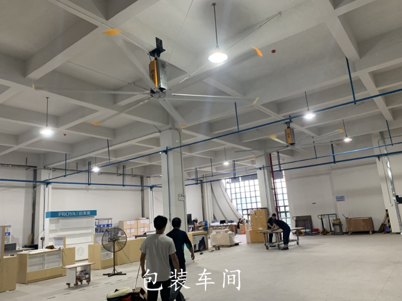大吊扇案例